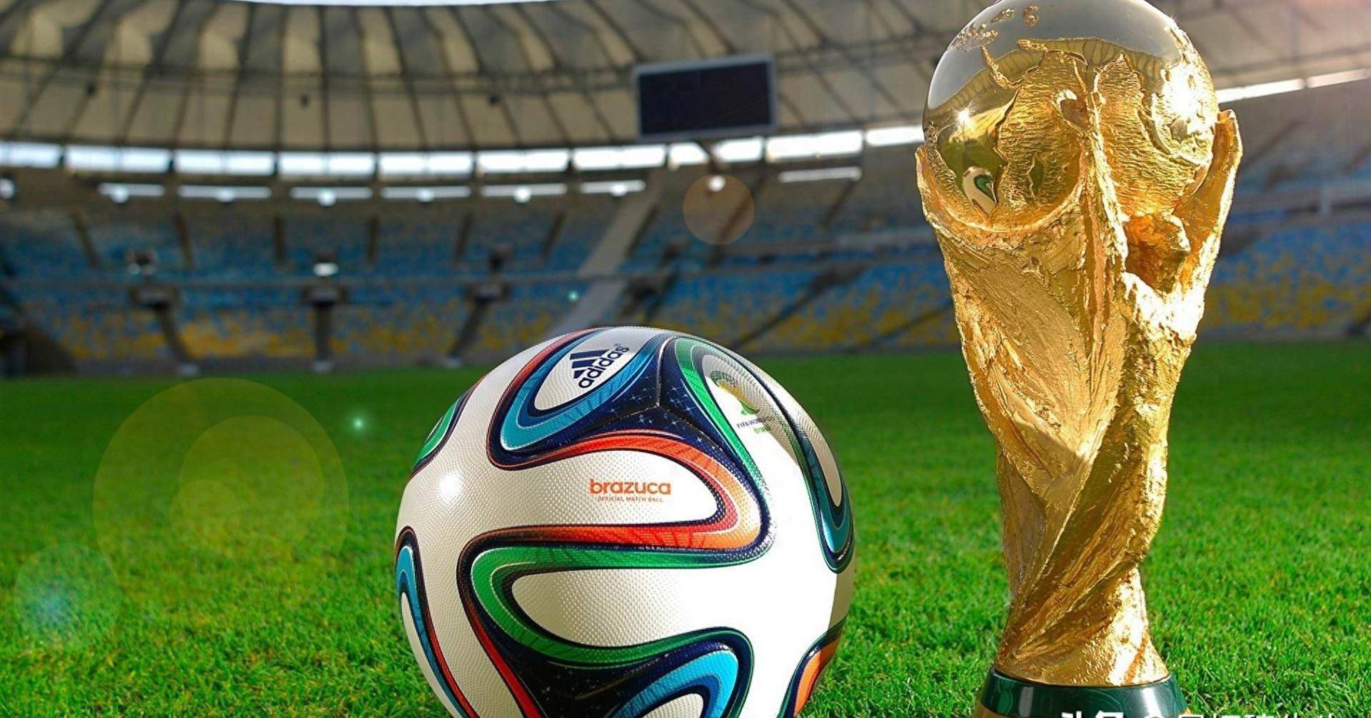 品质训练和 品质训练和