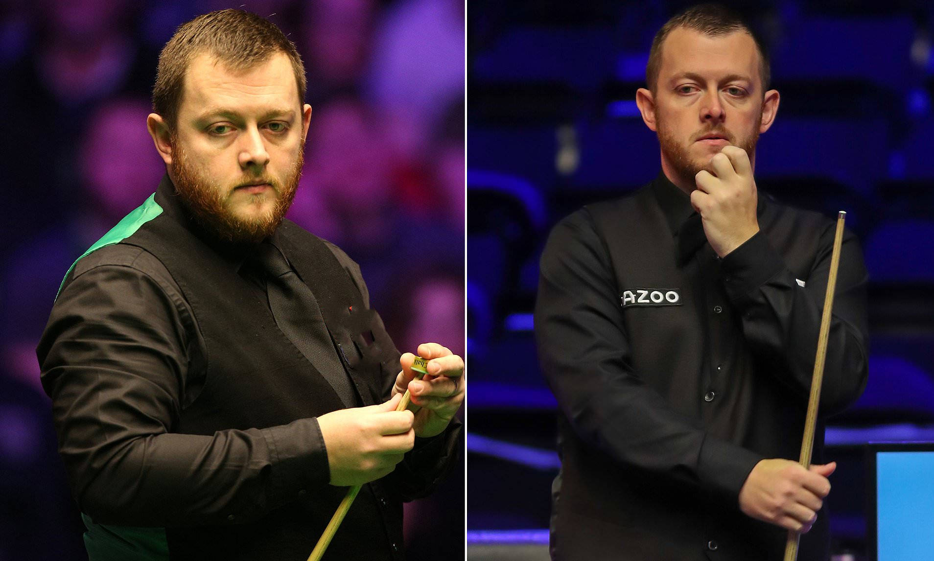 新鲜血液的 新鲜血液的