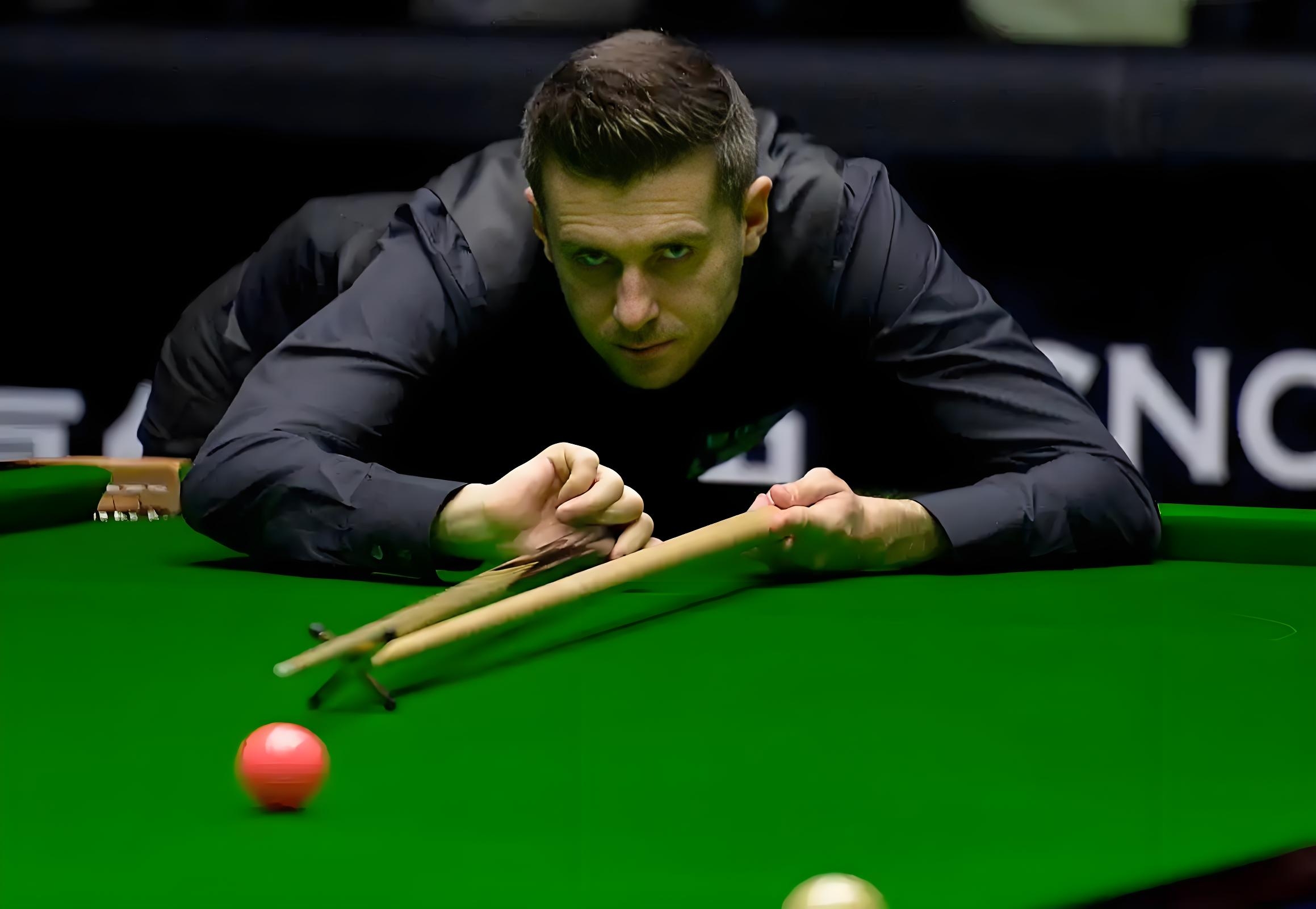 争性和观赏 争性和观赏