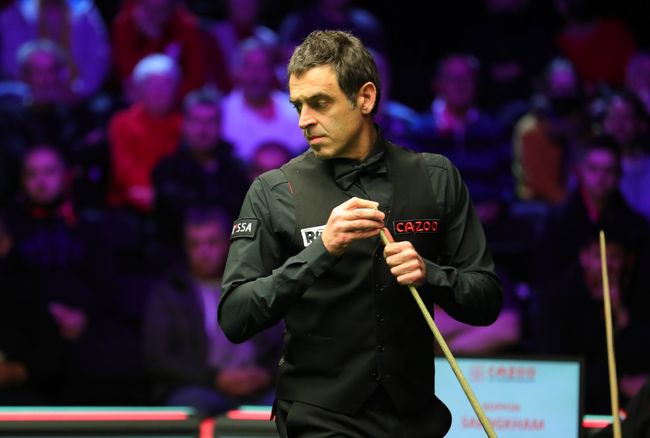 了坚实的后 了坚实的后