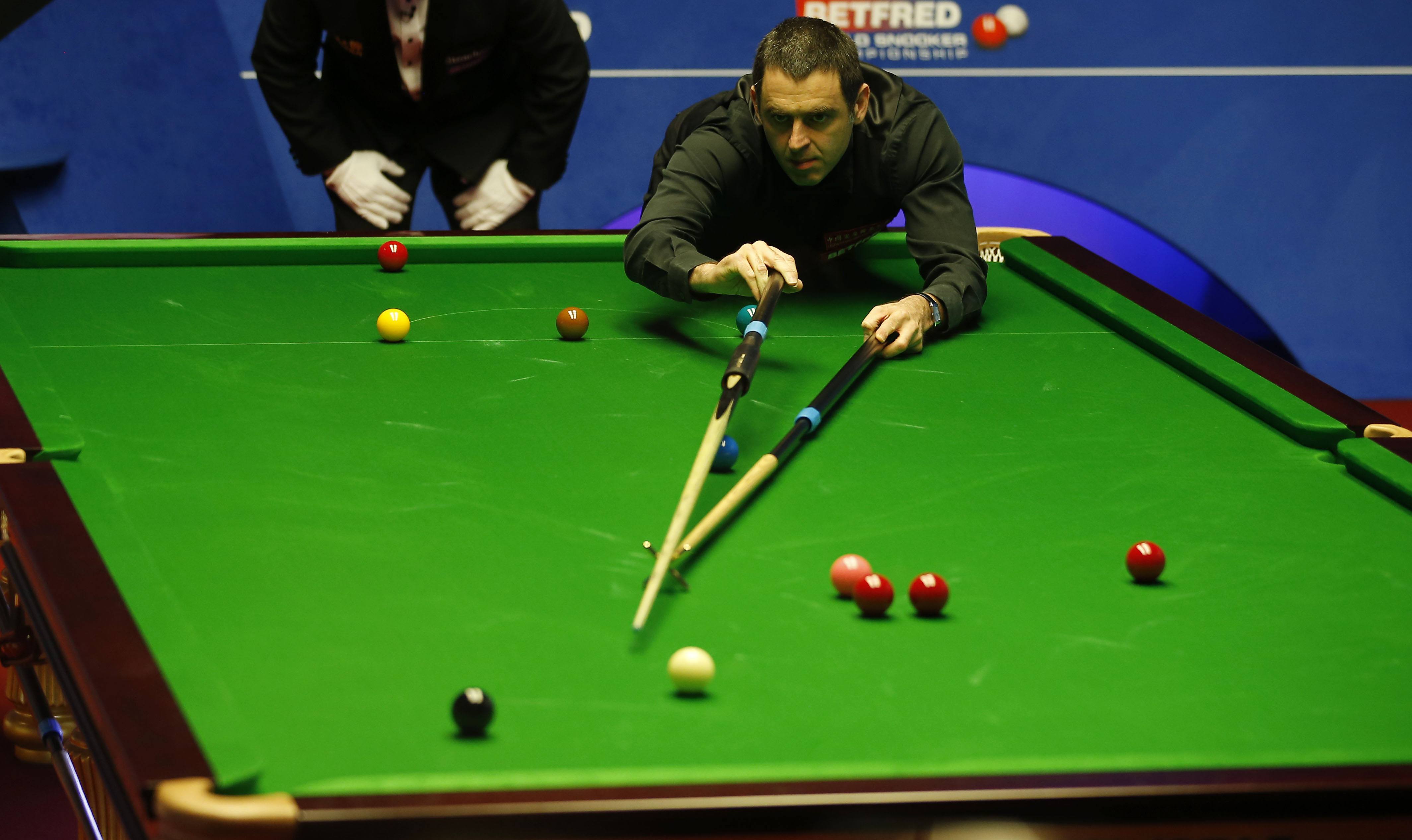 融入西班牙 融入西班牙