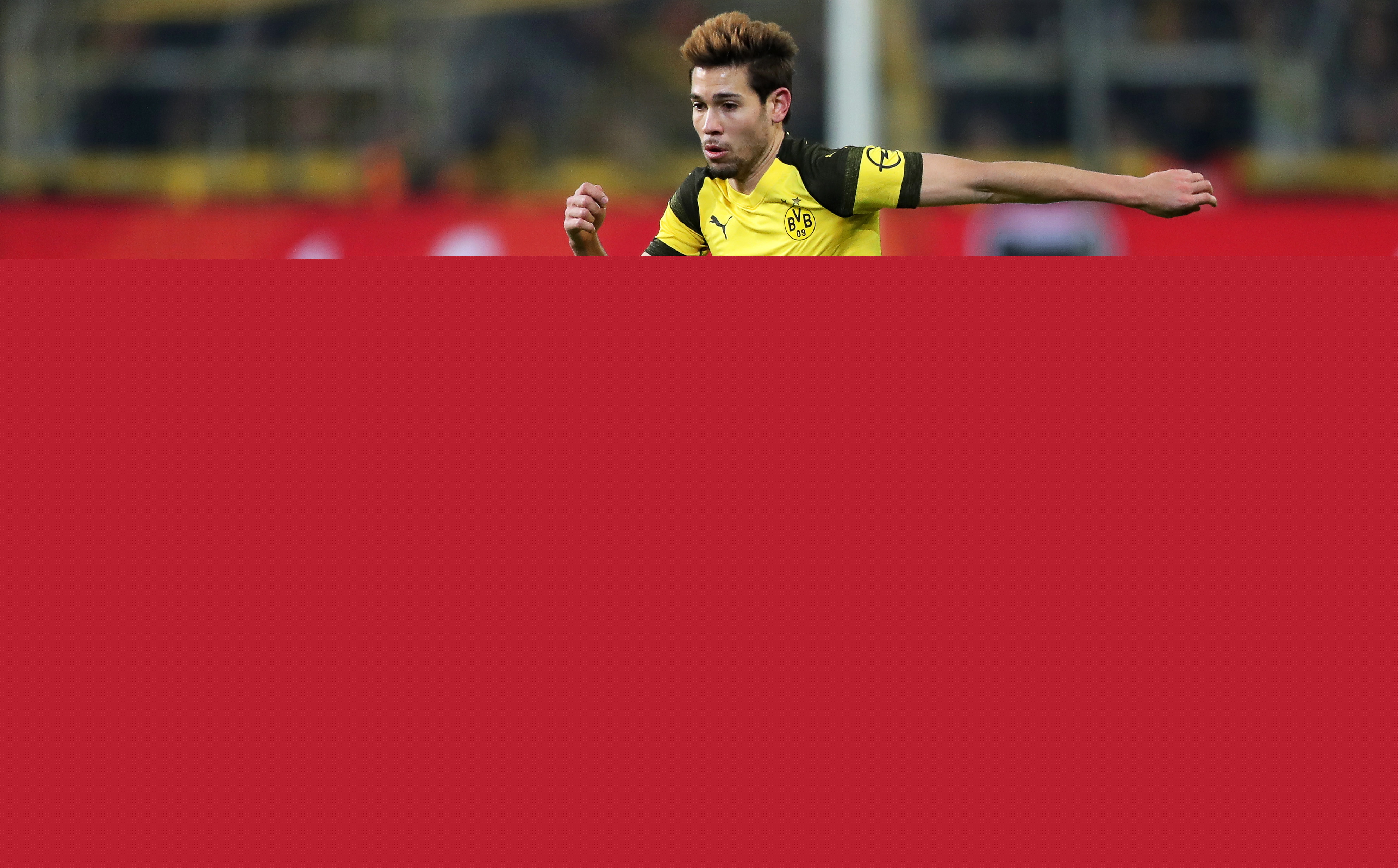 感与长期养 感与长期养